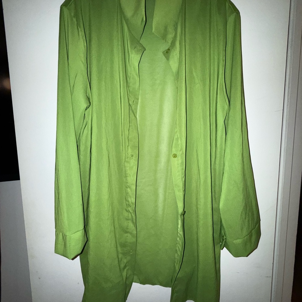 Green Women's sheer oversized blouse